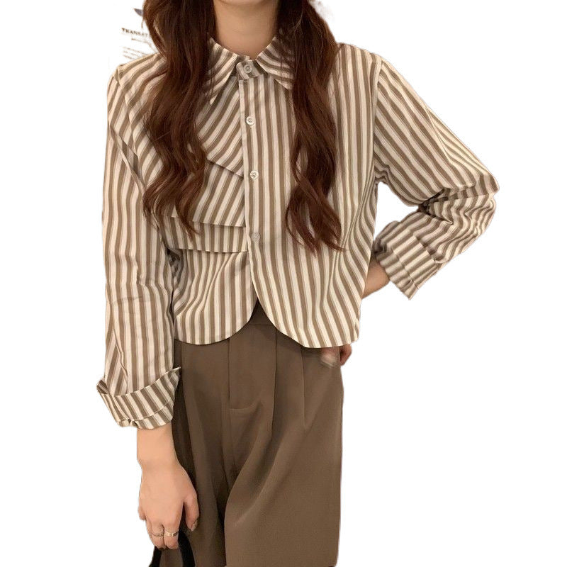 French White Shirt Women's Spring Design Sense Niche Shirt Temperament High Sense Chic Beautiful Short Long Sleeve Top